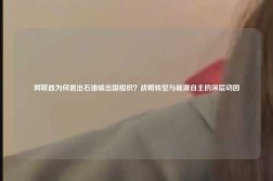 阿联酋为何退出石油输出国组织？战略转型与能源自主的深层动因