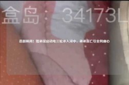 悲剧瞬间！姐弟误启动电三轮冲入河中，弟弟溺亡引全网痛心