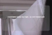 大衣哥家遭踹门后换铁门装6个监控，名人光环下的无奈与自保