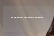 婉儿别闹视频分享：一场关于创意与互动的视觉盛宴