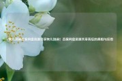 婉儿别闹百度网盘资源共享婉儿别闹！百度网盘资源共享背后的真相与反思