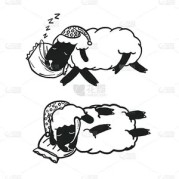眠羊要睡香香觉，真空抓挠下的梦境之旅