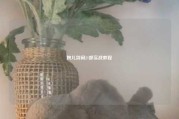 婉儿别闹21部实战教程