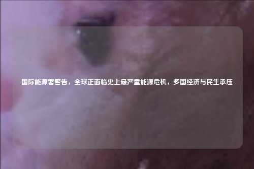 国际能源署警告，全球正面临史上最严重能源危机，多国经济与民生承压